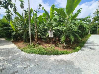 Vengoor Plot View 3
