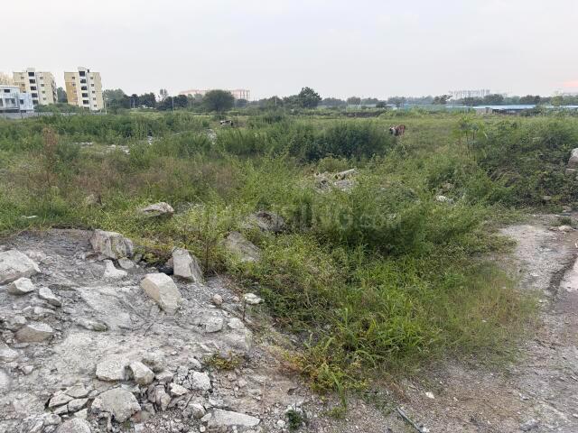 Rajapushpa Imper Main Image 1