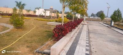 Residential Plot