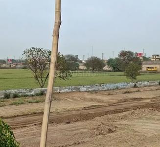 Residential Plot