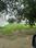 Sector 2, Palam Vihar Plot View 2