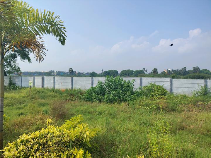 NuTech Fortune Main Image 1