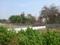 goldmark shrishti Main Image 1
