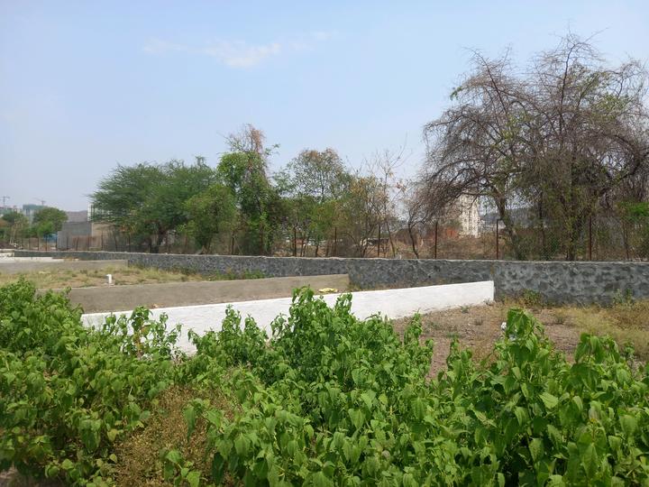 goldmark shrishti Main Image 1