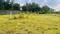 N A Plots Trambak Prakash Nagar Plot View 2