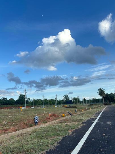 Yelwala  Main Image 1