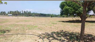 Image of 1200 Sq.ft Residential Plot / Land for sale in Vellalore, Coimbatore for Rs. 450000
