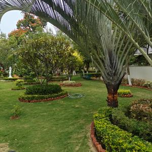 Image of 4000 Sq.ft Residential Plot / Land for sale in Sammys Beverly Hills, Hosahalli, Bengaluru for Rs. 52000000