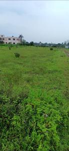 Kali Kheda Plot View 2