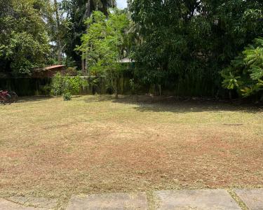 Image of 1225 Sq.ft Residential Plot / Land for sale in Salcete, Goa for Rs. 30600000