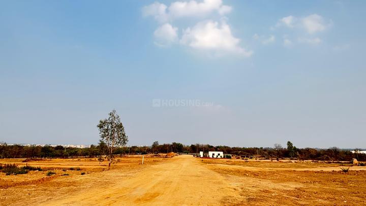 PRIME PLOTS Main Image 1