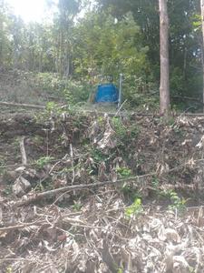 Image of 31798 Sq.ft Residential Plot / Land for sale in Killannur, Thrissur for Rs. 5500000