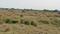 Patrapada Main Image 1