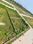 Adisan Aasra Green City Main Image 1