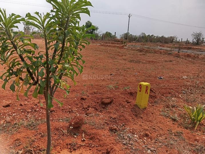 Nandiwanaparthy Main Image 1