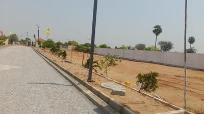 Residential Plot
