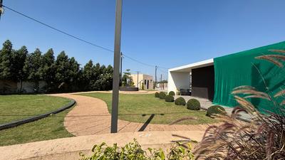 Rau Plot View 1