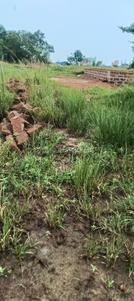 Residential Plot