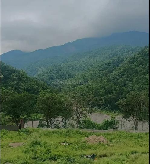 Dhaulas Main Image 1