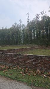 Dhaulas Plot View 2