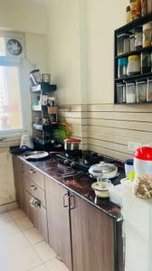 Kitchen Image of 900 Sq.ft 2 BHK Apartment / Flat for rent in Amrapali Silicon City, Sector 76 Noida for Rs. 36000