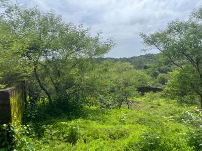 Image of 323 Sq.ft Residential Plot / Land for sale in Camurlim, Goa for Rs. 6533333