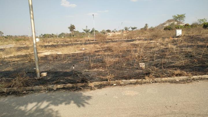 KNS Nester Main Image 1