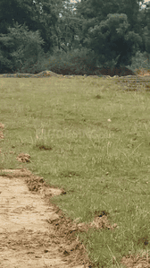 Image of 435 Sq.ft Residential Plot / Land for sale in Namkum, Ranchi for Rs. 850000