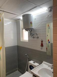Image of 500 Sq.ft 1 BHK Apartment / Flat for rent in ROF Amaltas, Sector 92, Gurgaon for Rs. 21000