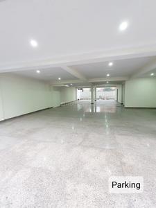 Hall Image of 2475 Sq.ft 4 BHK Builder Floor for sale in Sector 56 Gurgaon for Rs. 36000000