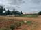 Sun Rise Garden  Plot View 2