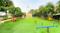 MR Proview Delhi 99 Phase 3 Main Image 1
