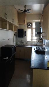 Kitchen Image of 1505 Sq.ft 3 BHK Apartment / Flat for rent in Supertech Cape Town, Sector 74 Noida for Rs. 45000