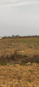 79 acres  Plot View 2
