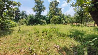 Image of 31968 Sq.ft Residential Plot / Land for sale in Kothavalasa, Visakhapatnam for Rs. 14800000