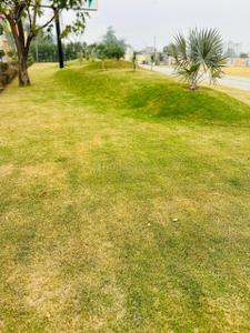 Image of 1000 Sq.ft Residential Plot / Land for sale in Valencia Greens, Bhicholi Mardana, Indore for Rs. 8000000