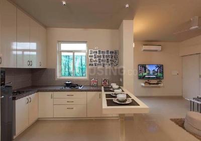 Kitchen Image of 600 Sq.ft 2 BHK Apartment / Flat for sale in Conscient Habitat 78, Sector 78 Faridabad for Rs. 5200000