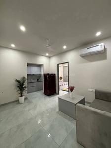 Hall Image of 741 Sq.ft 2 BHK Builder Floor for rent in Saket New Delhi for Rs. 14500