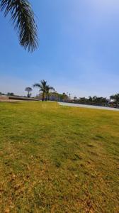 Image of 800 Sq.ft Residential Plot / Land for sale in Amleshwar, Raipur for Rs. 2400000