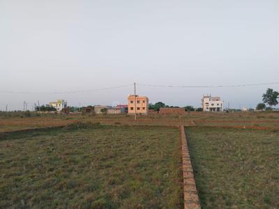 Project sar Plot View 2