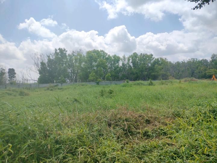 AP Township Main Image 1