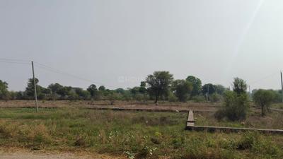 Sector 19 Plot View 3
