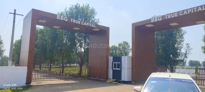 BBG True Capital Extension Plot View 3