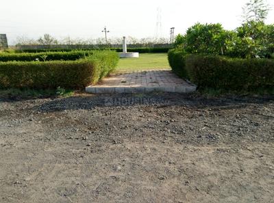 Dholera Plot View 2