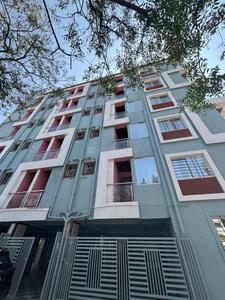Image of Hooliv social in Hinjawadi, Pune