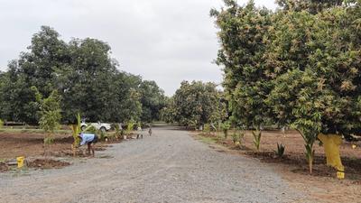 Image of 1197 Sq.ft Residential Plot / Land for sale in Mylavaram, Vijayawada for Rs. 700000