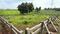 Riverine Main Image 1