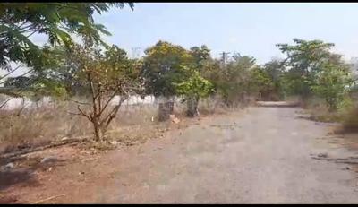 Residential Plot