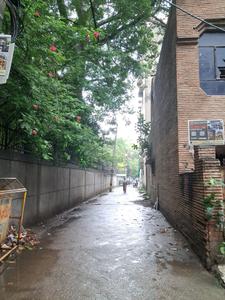 Image of 1200 Sq.ft Residential Plot / Land for sale in Paschim Vihar, New Delhi for Rs. 70000000