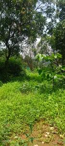 Image of 4941 Sq.ft Residential Plot / Land for sale in Karjat, Thane for Rs. 7411500